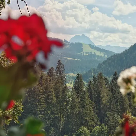 Apartment Wachinghof *