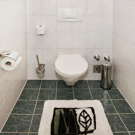 Apartment Wachinghof *