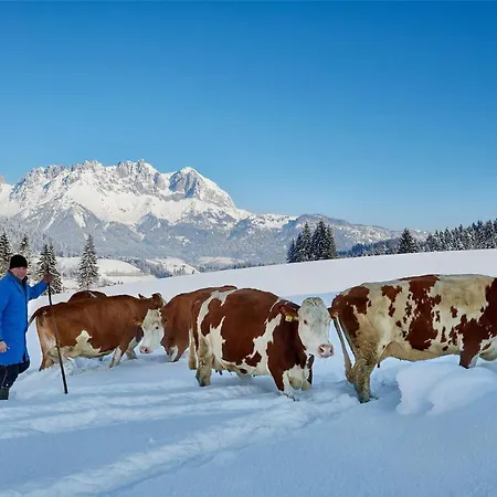 Daire Wachinghof Reith bei Kitzbühel