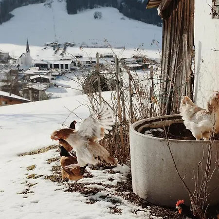 Wachinghof Apartment