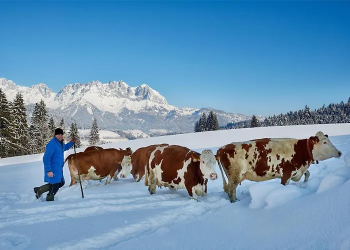 Apartamento Wachinghof Reith bei Kitzbühel