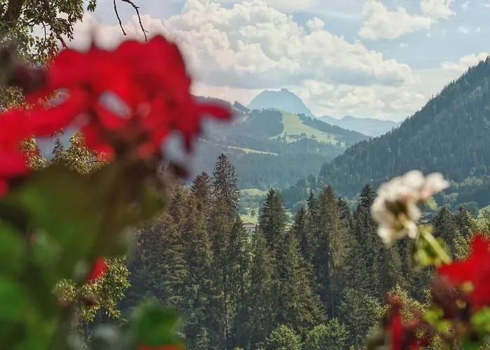 Lägenhet Wachinghof *