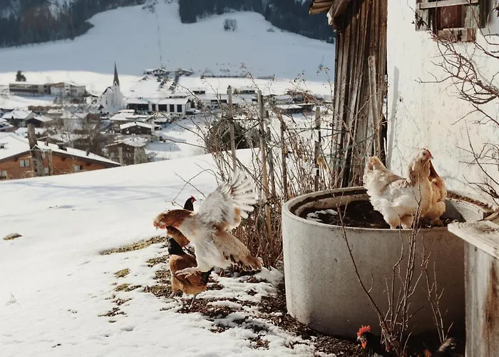 Wachinghof Lägenhet